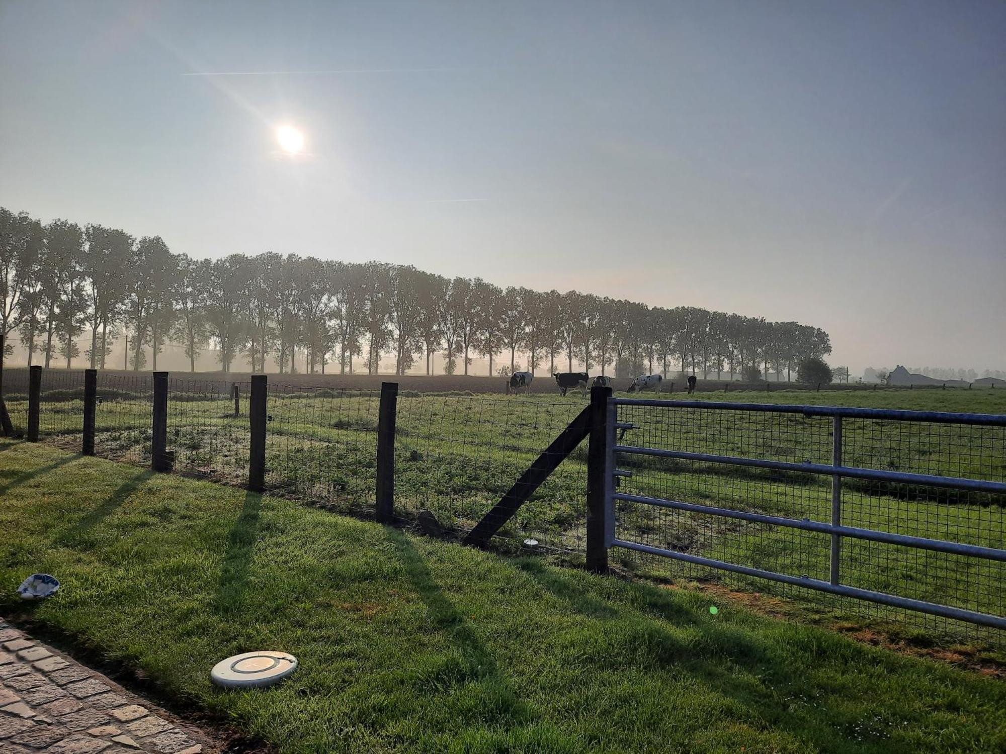 B&B Den Bruynen Bergh Beernem Exteriér fotografie